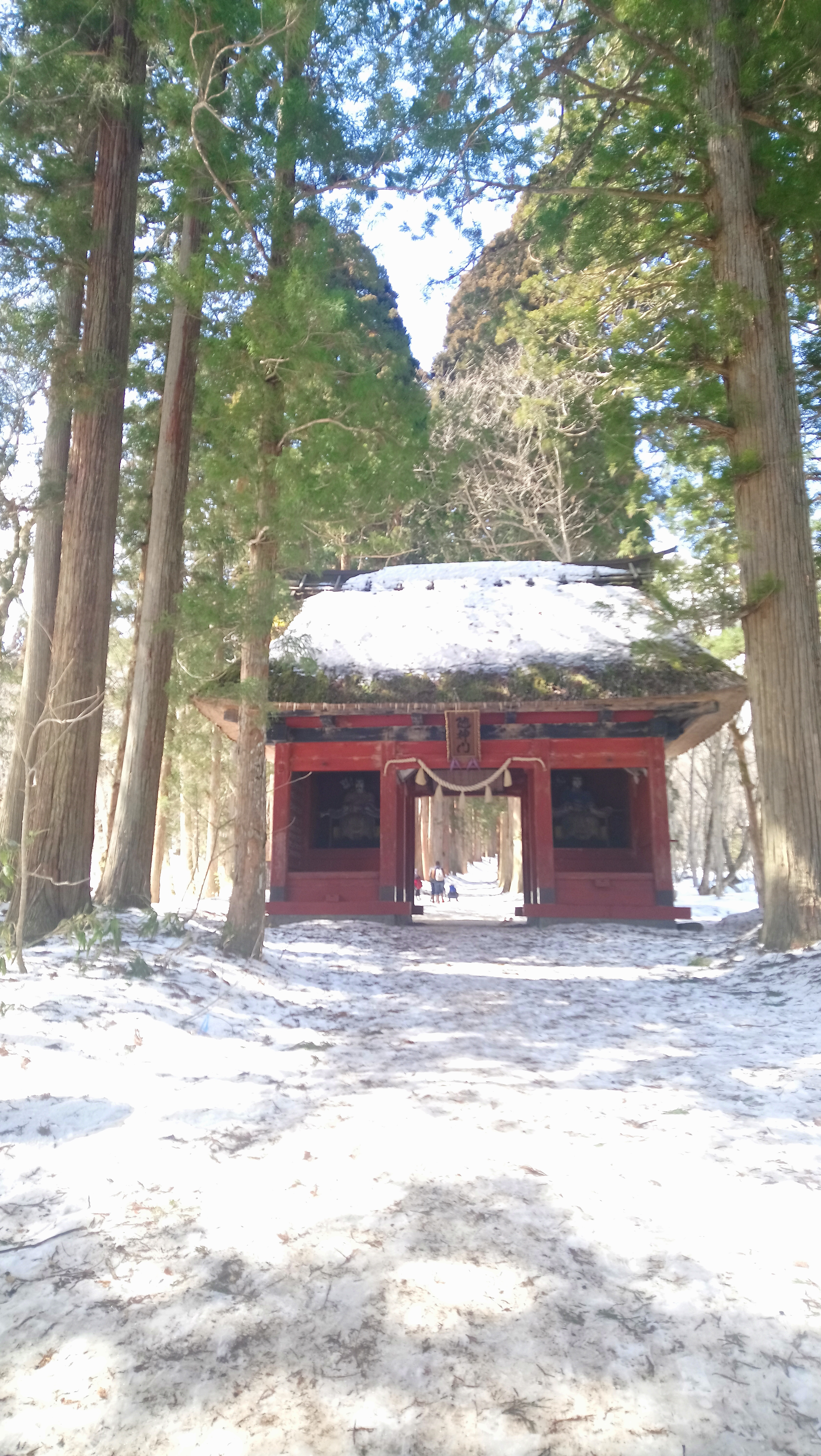 Okusha Togakushi Chu-Sha and Okusha | Day trip into the snowy mountains from ...
