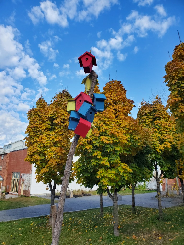 This image has an empty alt attribute; its file name is 20211110_110829.jpg