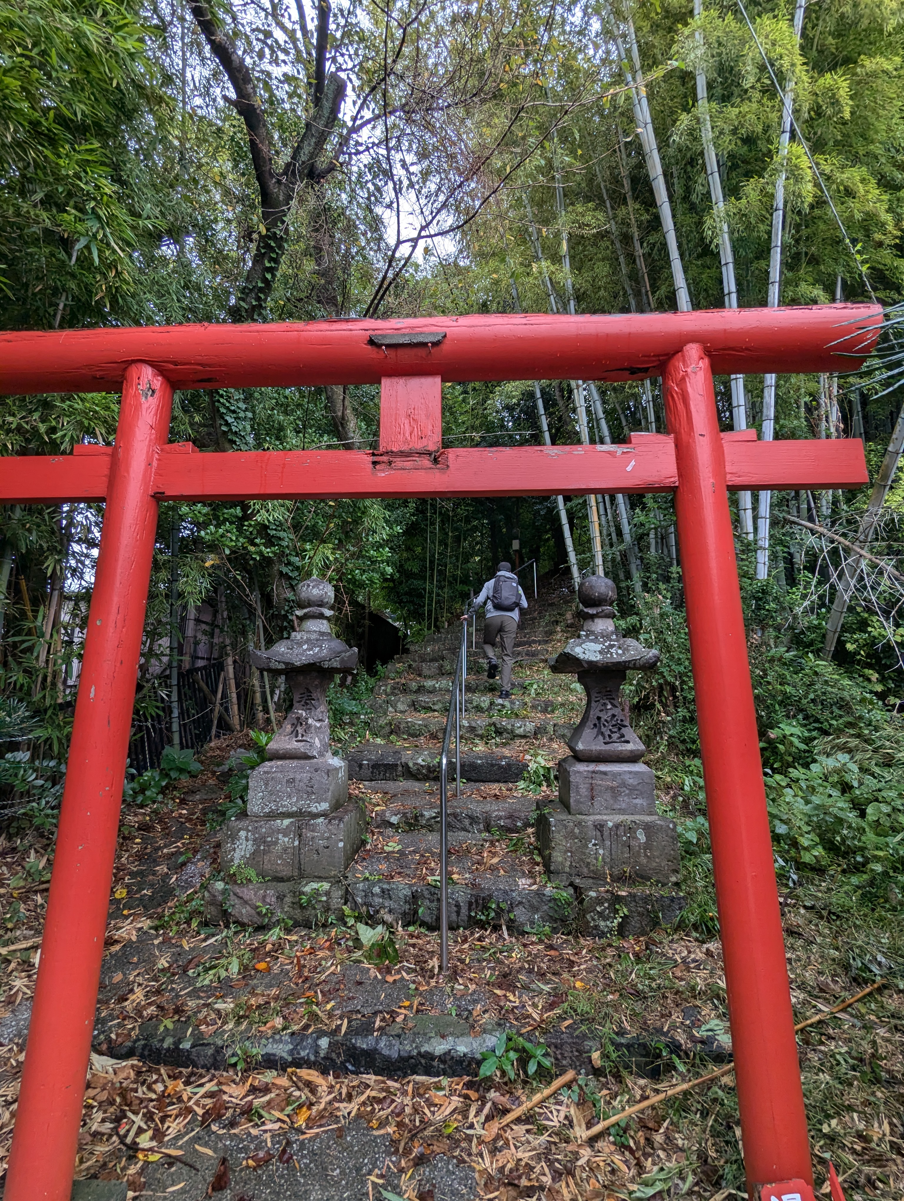 Japan's Crazy Hotspring Town, Beppu! The Seven Hells of Beppu