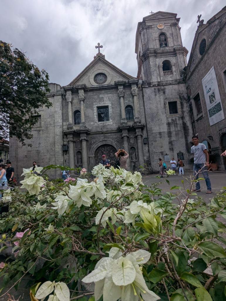 A historic church with a tall bell tower and cross, surrounded by people and blooming white bougainvillea in the foreground.