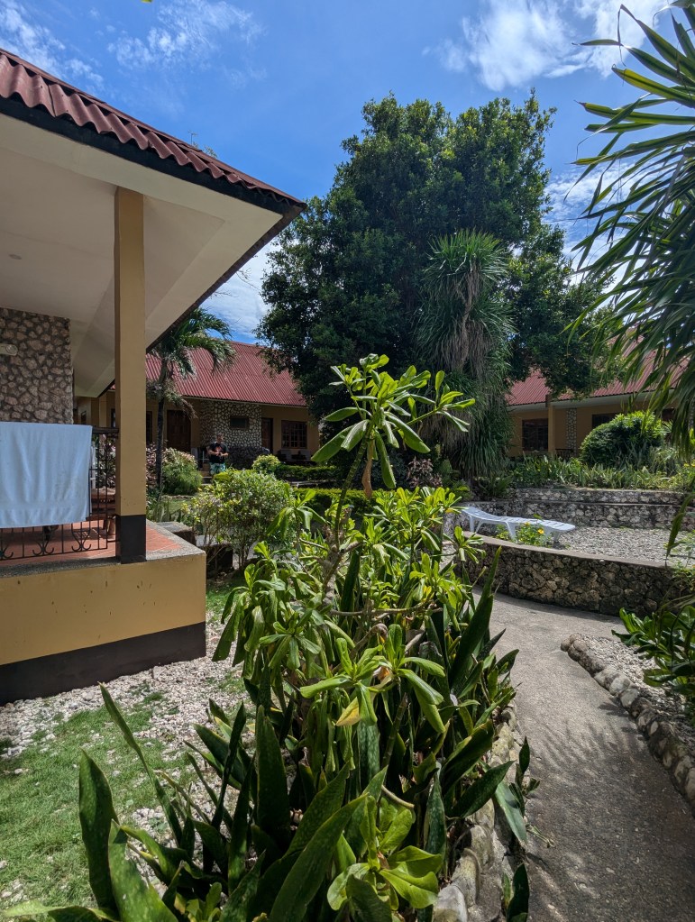 A sunny view of a landscaped area in front of a building with a red roof, featuring lush greenery and a pathway.