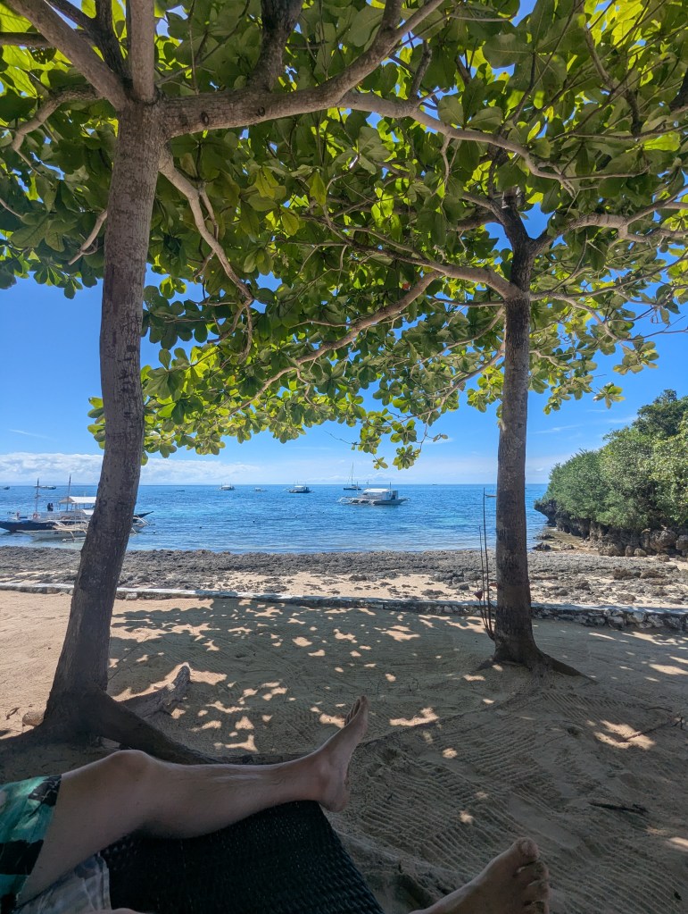 A tranquil beach scene viewed from under a large tree, with clear blue water, sandy shore, and a few boats anchored in the distance.