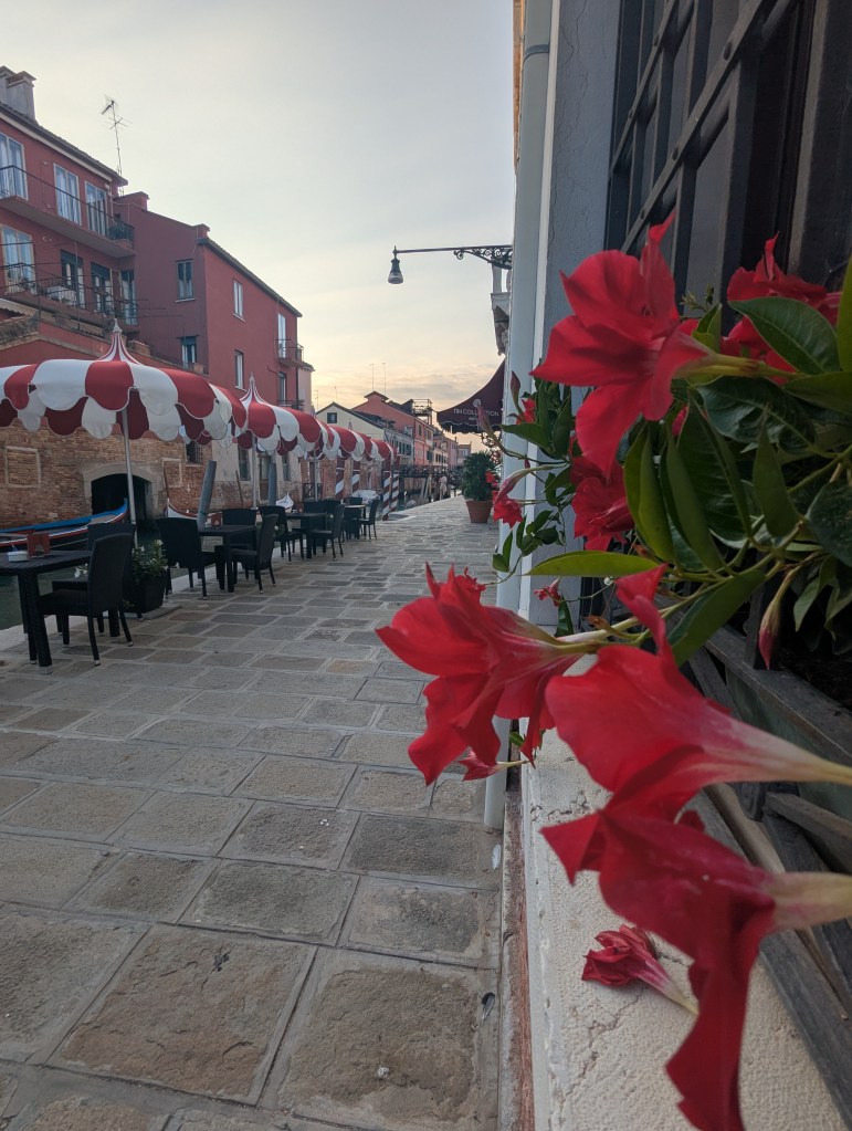 A picturesque street lined with red flowers and outdoor seating under striped umbrellas, featuring stone pavement and colorful buildings in the background.