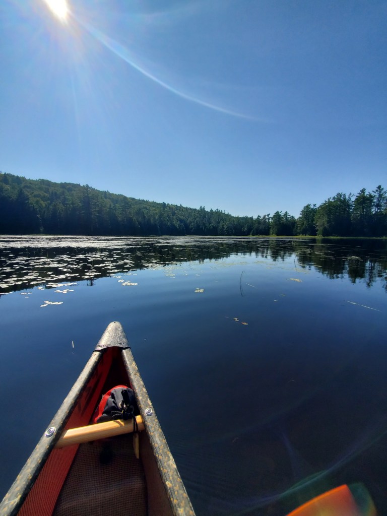 View from the front of a canoe on a calm lake surrounded by green trees under a clear blue sky.