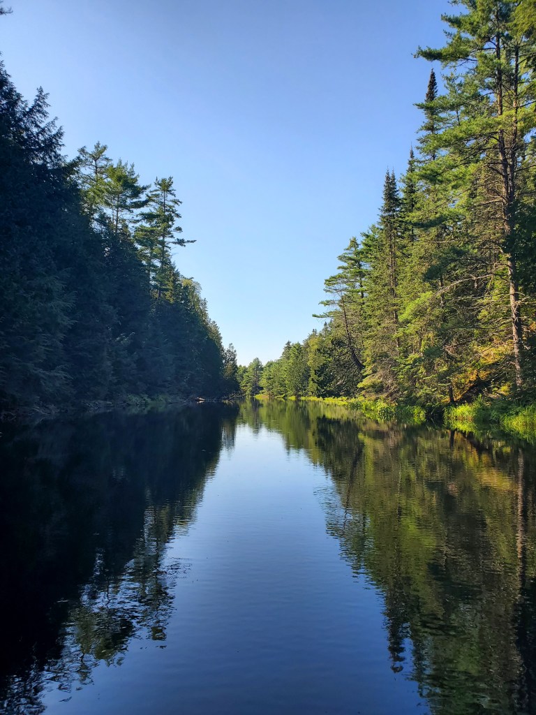 A tranquil river reflecting the surrounding greenery and blue sky, flanked by tall trees on both sides.
