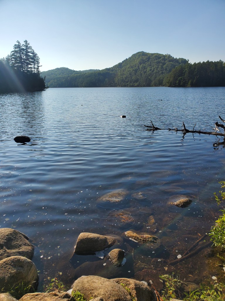 A serene lake surrounded by mountains and trees under a clear blue sky, with visible rocky shoreline and calm water reflecting the landscape.